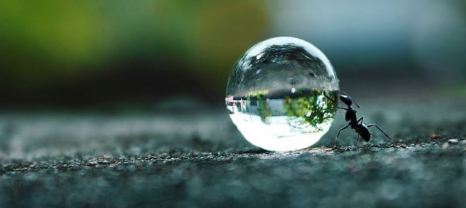 Autoestima, ¿aliada o enemiga?