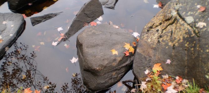 La vida en un flash – parte 1 de n